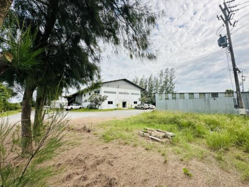 รูปที่3 ต้องการขายที่ดินเปล่า คลองอุดมชลจร เมืองฉะเชิงเทรา ราคา 69,000,000 บาท