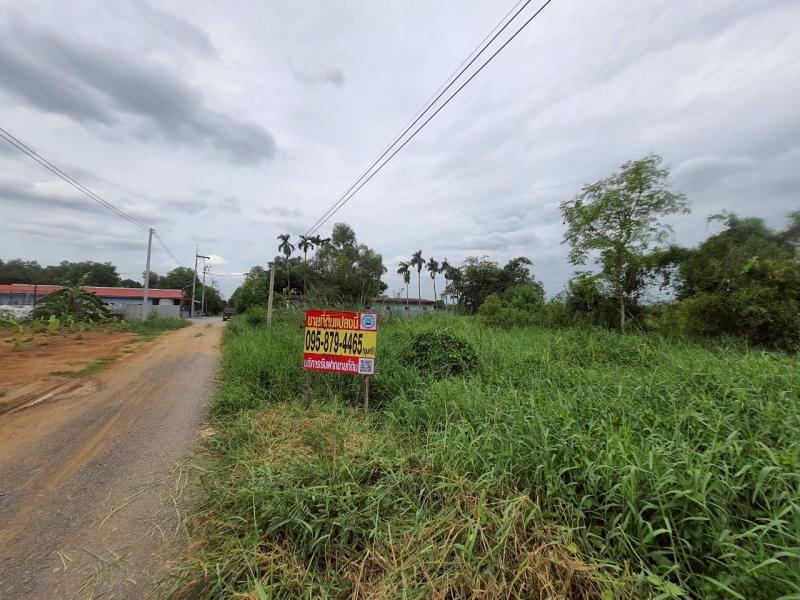 รูปที่8 ต้องการขายที่ดินเปล่า คลองสี่ คลองหลวง ราคา 1,600,000 บาท