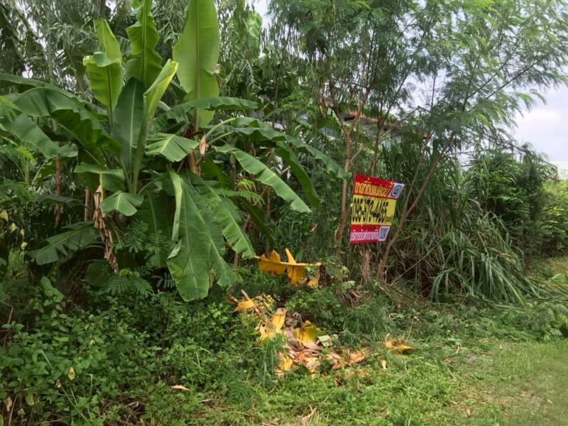 รูปภาพสินทรัพย์