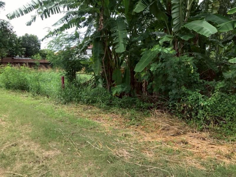 รูปที่3 ต้องการขายที่ดินเปล่า ท่าแร้ง เขตบางเขน ราคา 2,600,000 บาท