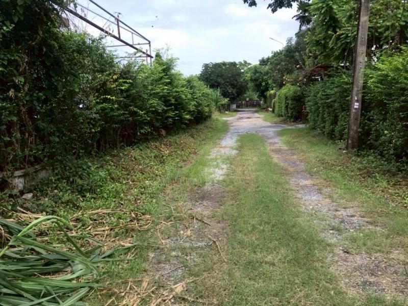 รูปที่4 ต้องการขายที่ดินเปล่า ท่าแร้ง เขตบางเขน ราคา 2,600,000 บาท