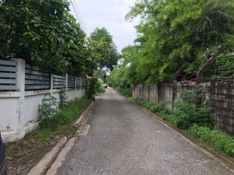 รูปที่5 ต้องการขายที่ดินเปล่า ท่าแร้ง เขตบางเขน ราคา 2,600,000 บาท