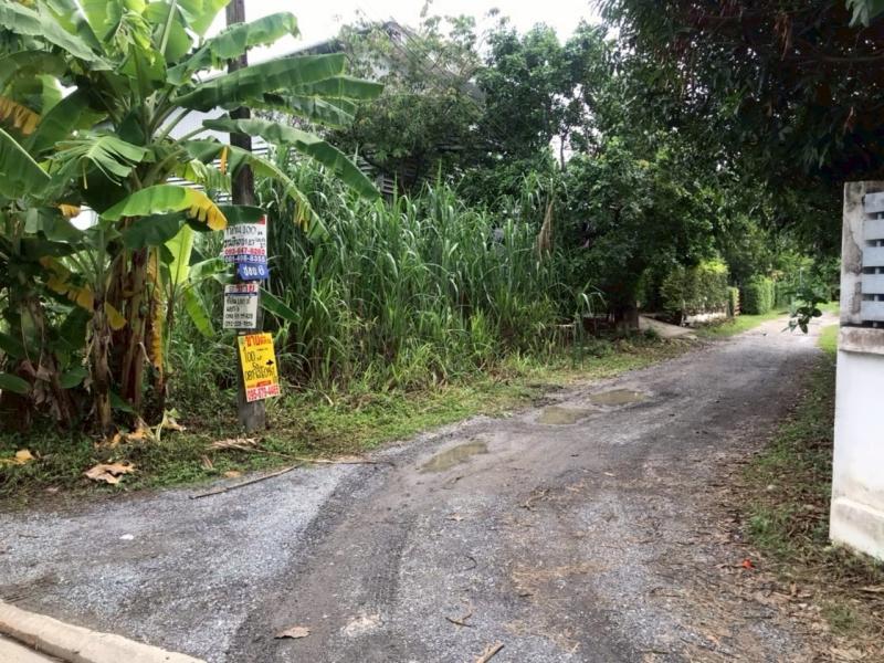 รูปที่6 ต้องการขายที่ดินเปล่า ท่าแร้ง เขตบางเขน ราคา 2,600,000 บาท