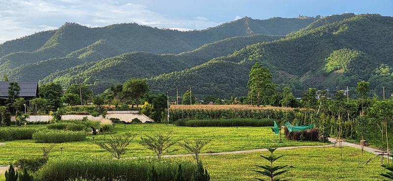 รูปภาพสินทรัพย์