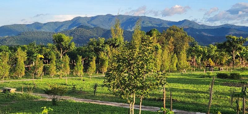 รูปที่4 ต้องการขายบ้านพร้อมที่ดิน ท่าตอน แม่อาย ราคา 3,800,000 บาท