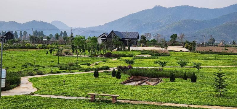 รูปที่5 ต้องการขายบ้านพร้อมที่ดิน ท่าตอน แม่อาย ราคา 3,800,000 บาท