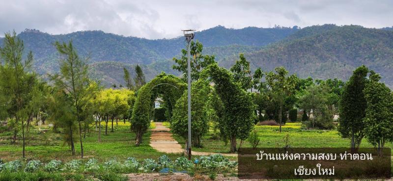 รูปที่6 ต้องการขายบ้านพร้อมที่ดิน ท่าตอน แม่อาย ราคา 3,800,000 บาท