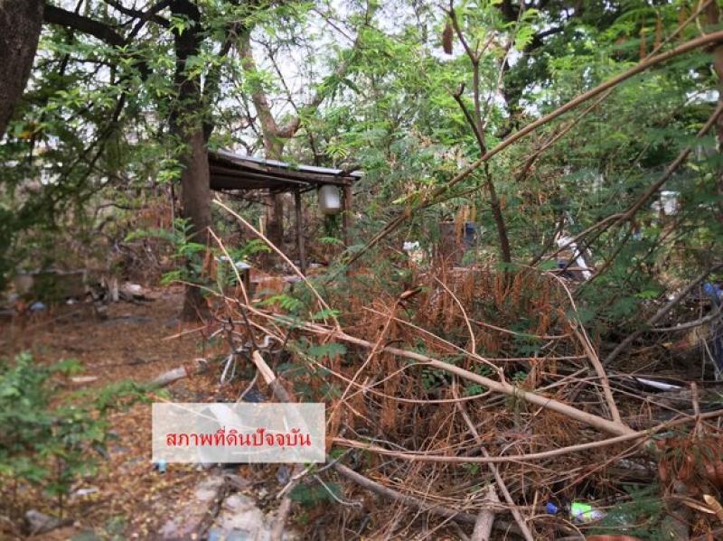 รูปที่4 ต้องการขายที่ดินเปล่า สวนหลวง เขตสวนหลวง ราคา 29,000,000 บาท
