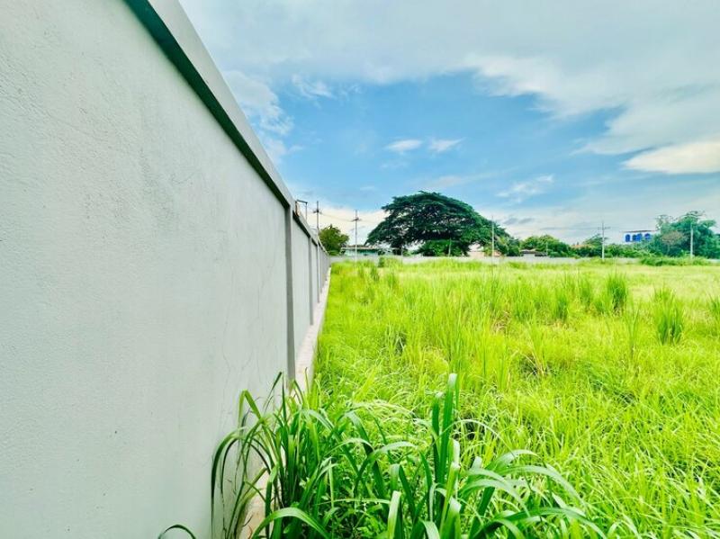 รูปที่4 ต้องการขายที่ดินเปล่า บึง ศรีราชา ราคา 60,000,000 บาท