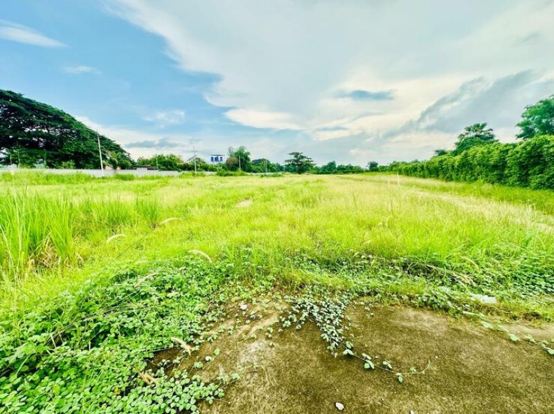 รูปที่5 ต้องการขายที่ดินเปล่า บึง ศรีราชา ราคา 60,000,000 บาท