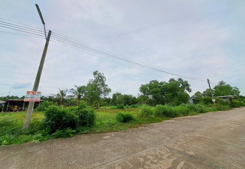รูปที่2 ต้องการขายที่ดินเปล่า หนองสามวัง หนองเสือ ราคา 500,000 บาท