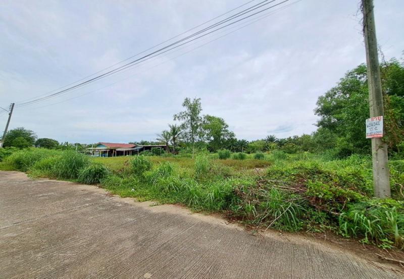 รูปที่4 ต้องการขายที่ดินเปล่า หนองสามวัง หนองเสือ ราคา 500,000 บาท