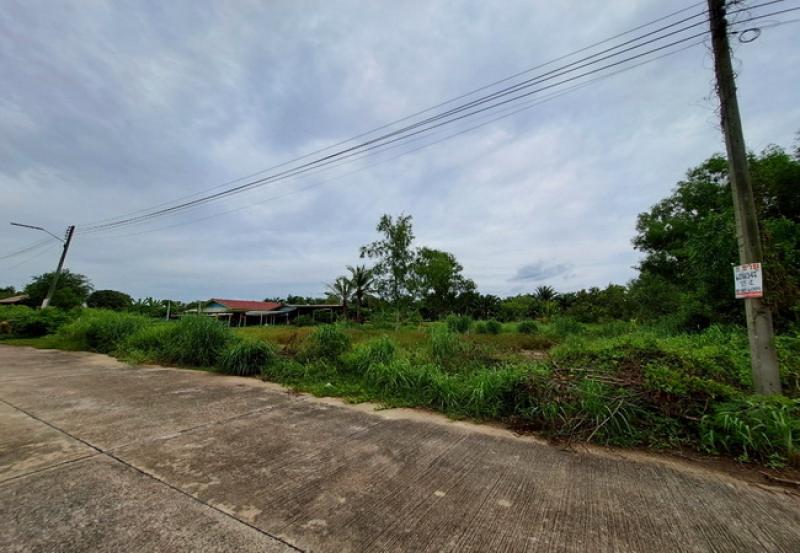 รูปที่5 ต้องการขายที่ดินเปล่า หนองสามวัง หนองเสือ ราคา 500,000 บาท