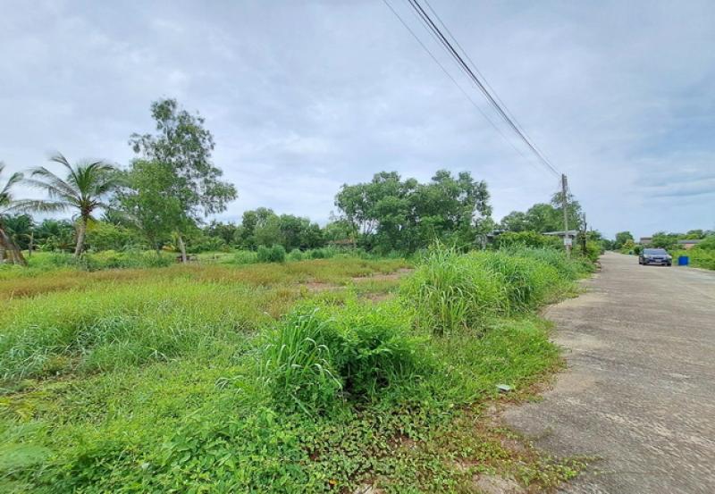 รูปที่6 ต้องการขายที่ดินเปล่า หนองสามวัง หนองเสือ ราคา 500,000 บาท