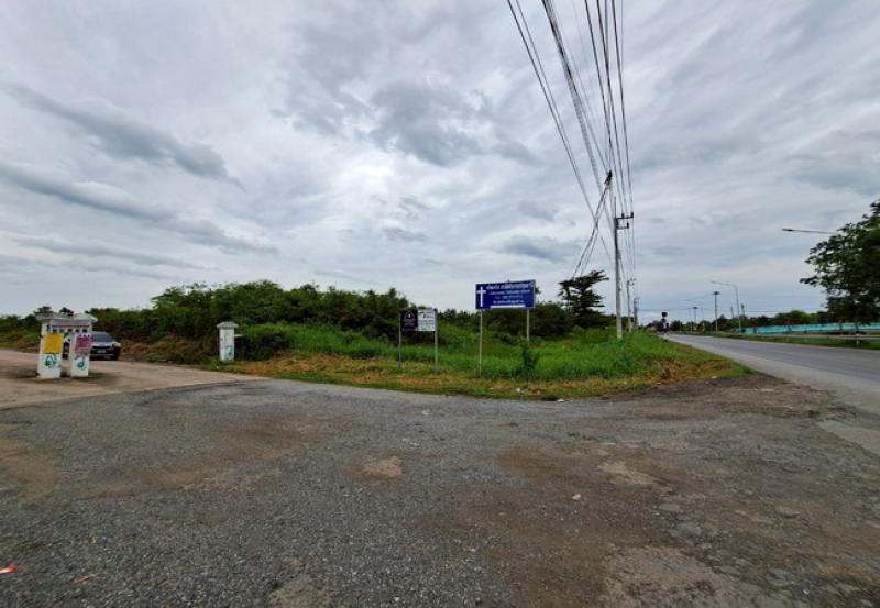 รูปที่7 ต้องการขายที่ดินเปล่า หนองสามวัง หนองเสือ ราคา 500,000 บาท