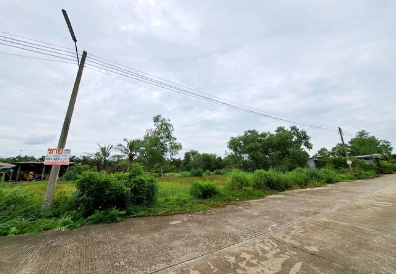 รูปที่2 ต้องการขายที่ดินเปล่า หนองสามวัง หนองเสือ ราคา 500,000 บาท