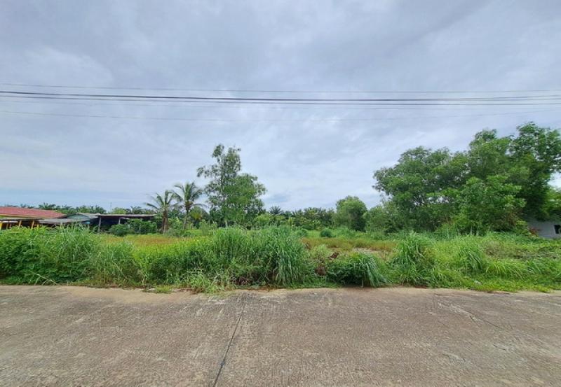 รูปที่4 ต้องการขายที่ดินเปล่า หนองสามวัง หนองเสือ ราคา 500,000 บาท