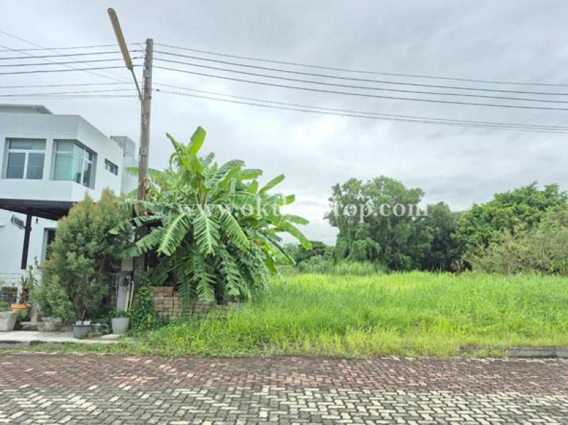 รูปที่3 ต้องการขายที่ดินเปล่า คูคต ลำลูกกา ราคา 3,200,000 บาท