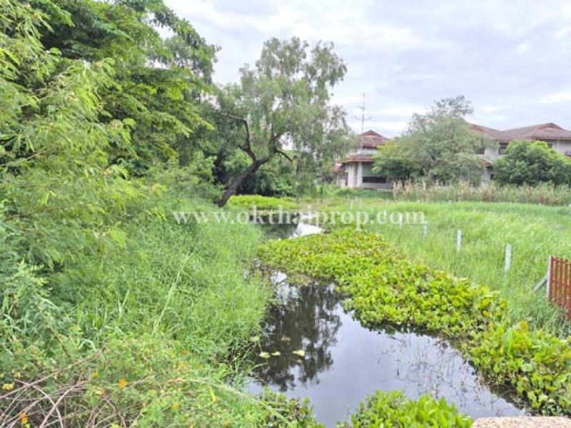 รูปที่6 ต้องการขายที่ดินเปล่า คูคต ลำลูกกา ราคา 3,200,000 บาท