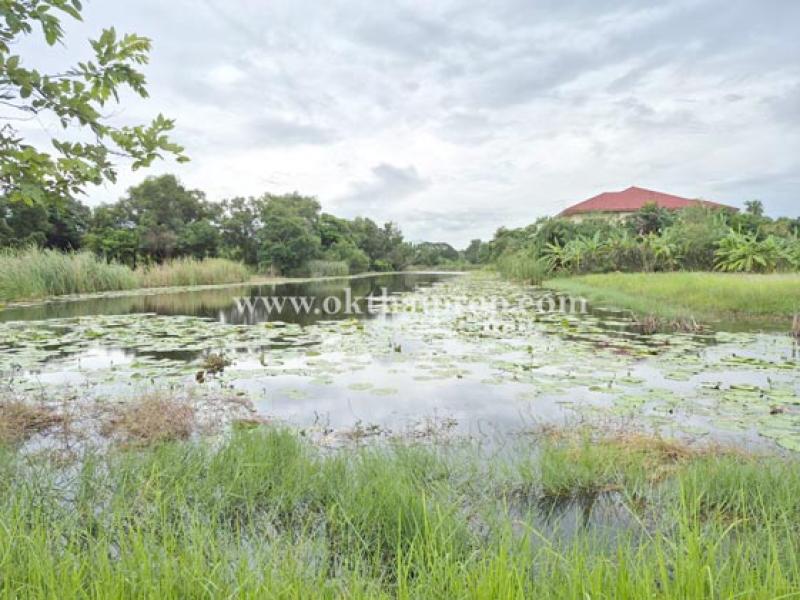 รูปที่7 ต้องการขายที่ดินเปล่า คูคต ลำลูกกา ราคา 3,200,000 บาท