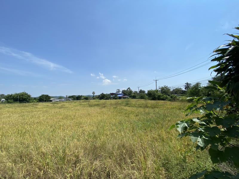 รูปที่5 ต้องการขายที่ดินเปล่า ชำผักแพว แก่งคอย ราคา 18,000,000 บาท