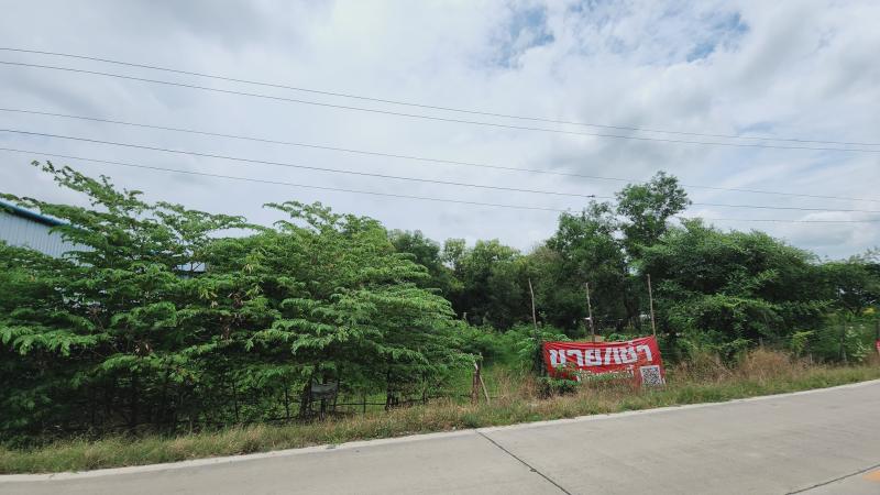 รูปที่3 ต้องการขายที่ดินเปล่า ลาดหลุมแก้ว ลาดหลุมแก้ว ราคา 50,000,000 บาท