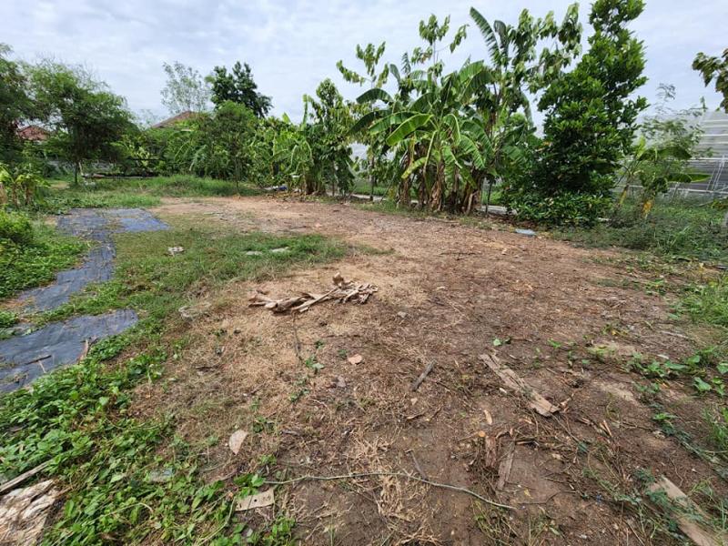 รูปภาพสินทรัพย์