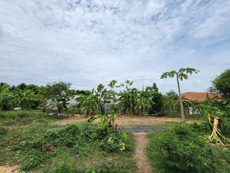 รูปที่2 ให้เช่าที่ดินเปล่า คันนายาว เขตคันนายาว ราคา 5,000 บาท