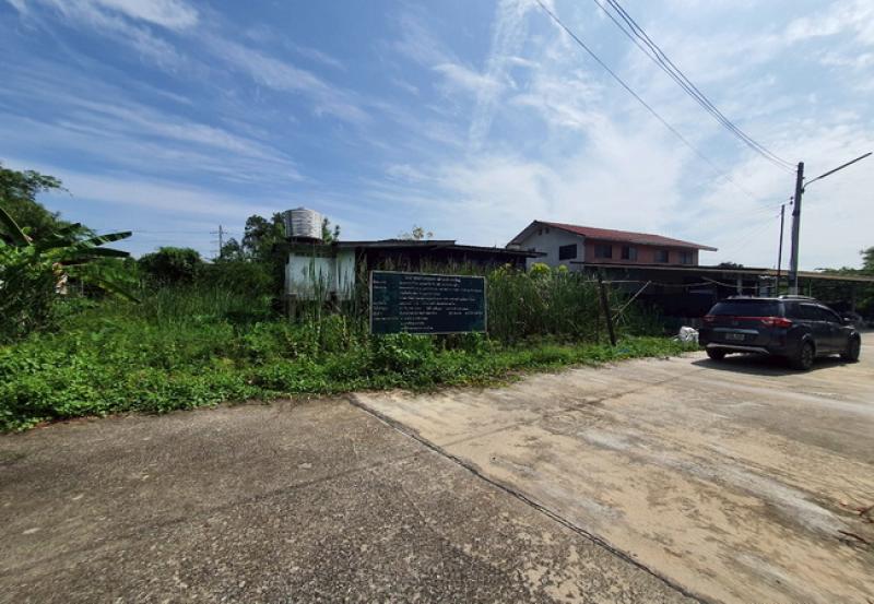 รูปที่2 ต้องการขายที่ดินเปล่า เชียงรากใหญ่ สามโคก ราคา 1,500,000 บาท