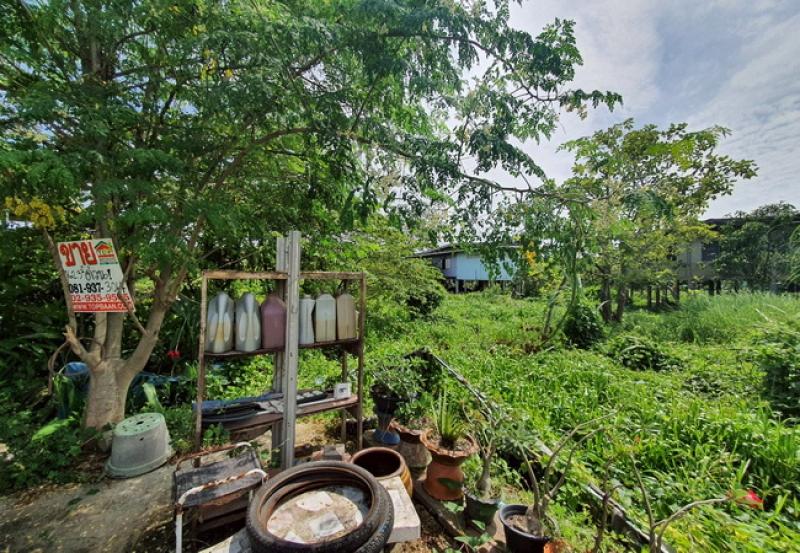 รูปที่6 ต้องการขายที่ดินเปล่า เชียงรากใหญ่ สามโคก ราคา 1,500,000 บาท