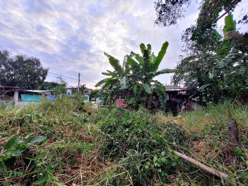 รูปที่7 ต้องการขายที่ดินเปล่า คลองสี่ คลองหลวง ราคา 400,000 บาท