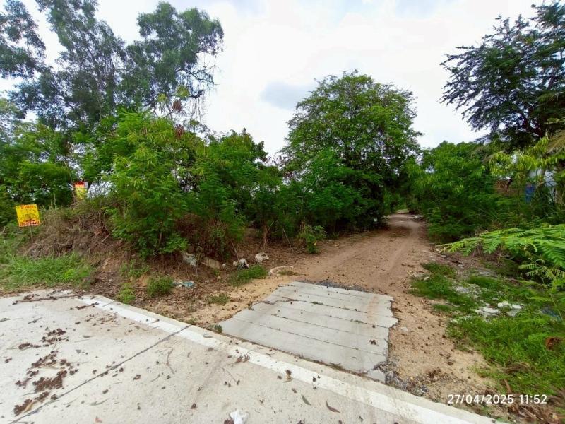 รูปที่3 ต้องการขายที่ดินเปล่า คลองสี่ คลองหลวง ราคา 33,000,000 บาท