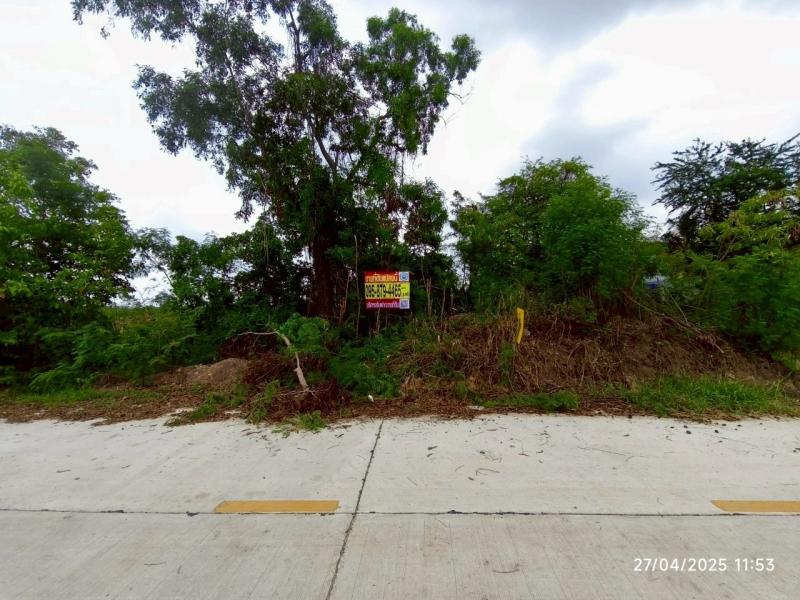 รูปที่4 ต้องการขายที่ดินเปล่า คลองสี่ คลองหลวง ราคา 33,000,000 บาท