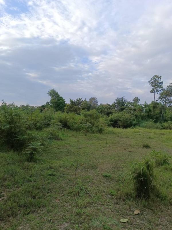 รูปภาพสินทรัพย์