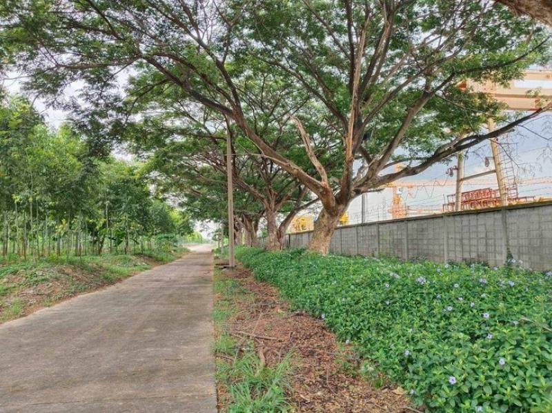 รูปที่6 ต้องการขายที่ดินเปล่า คลองหนึ่ง คลองหลวง ราคา 1,299,990,000 บาท
