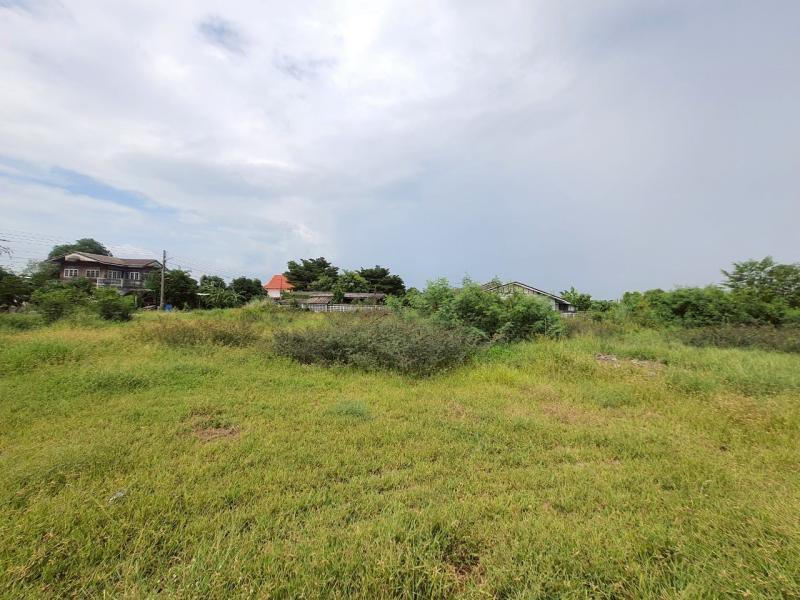 รูปที่8 ต้องการขายที่ดินเปล่า คลองสาม คลองหลวง ราคา 2,500,000 บาท