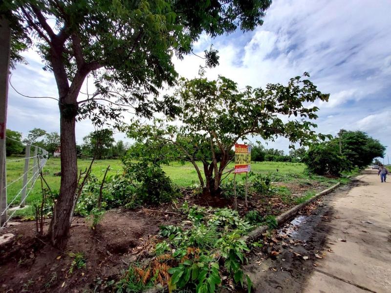 รูปที่2 ต้องการขายที่ดินเปล่า คลองสอง คลองหลวง ราคา 5,600,000 บาท