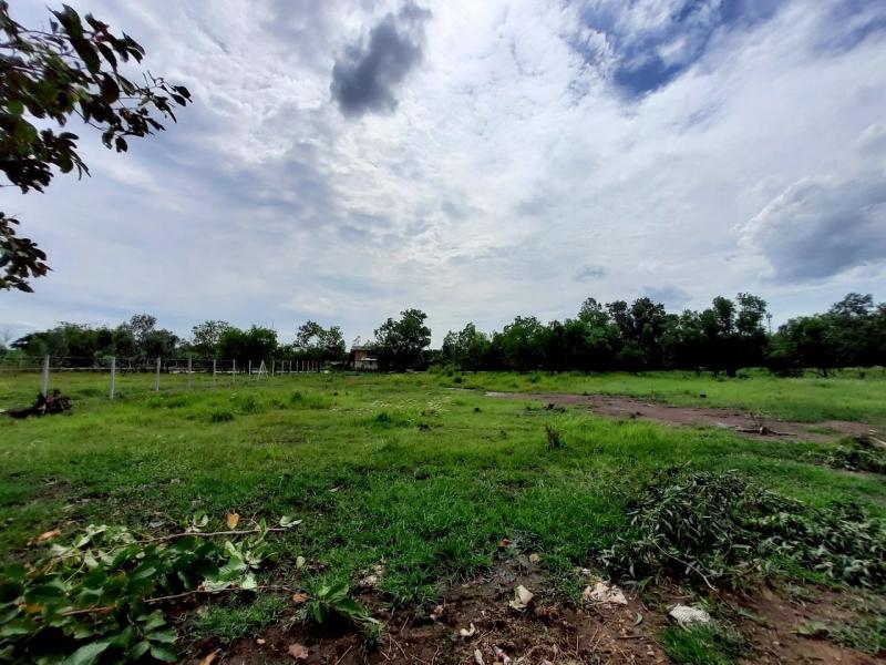 รูปที่4 ต้องการขายที่ดินเปล่า คลองสอง คลองหลวง ราคา 5,600,000 บาท