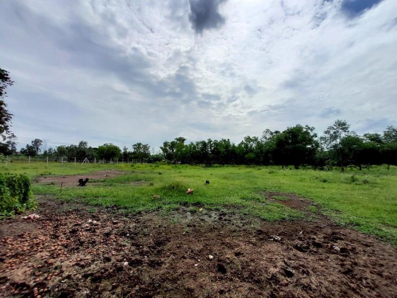 รูปที่5 ต้องการขายที่ดินเปล่า คลองสอง คลองหลวง ราคา 5,600,000 บาท