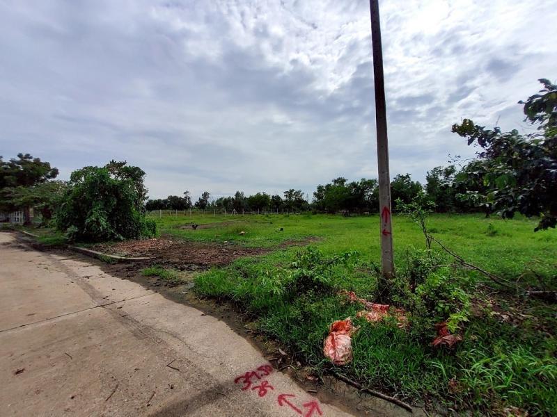 รูปที่6 ต้องการขายที่ดินเปล่า คลองสอง คลองหลวง ราคา 5,600,000 บาท