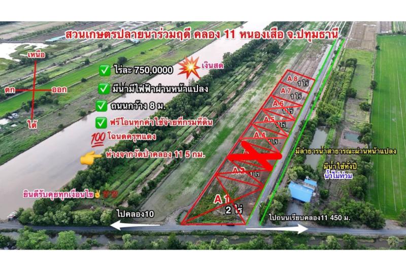 รูปที่3 ต้องการขายที่ดินเปล่า บึงกาสาม หนองเสือ ราคา 480,000 บาท