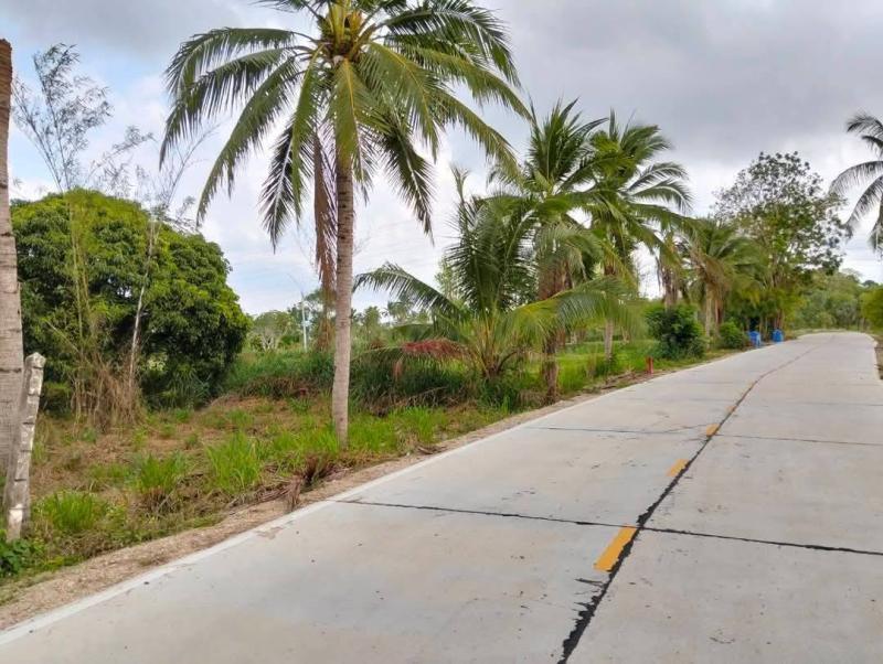 รูปที่2 ต้องการขายที่ดินเปล่า บางพระ ศรีราชา ราคา 3,000,000 บาท