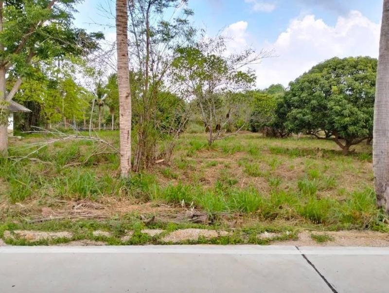 รูปที่3 ต้องการขายที่ดินเปล่า บางพระ ศรีราชา ราคา 3,000,000 บาท