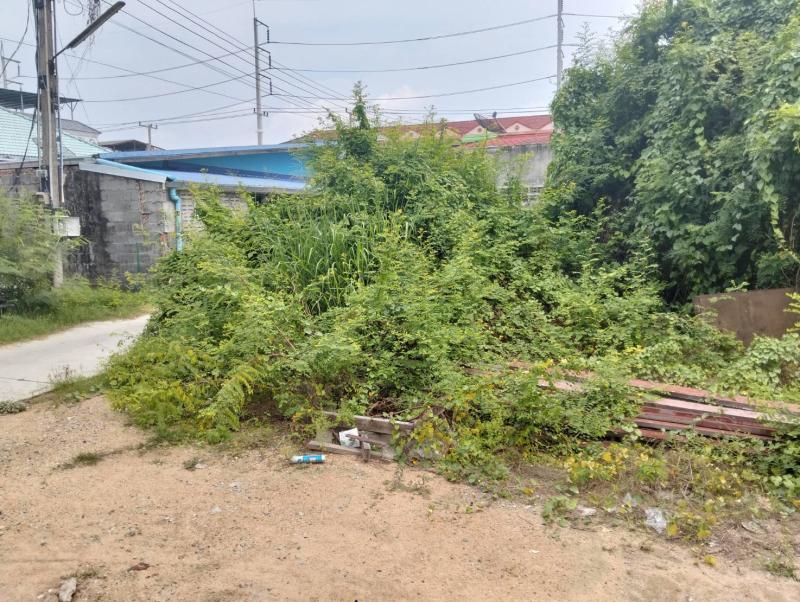 รูปที่3 ต้องการขายที่ดินเปล่า บางพระ ศรีราชา ราคา 3,000,000 บาท