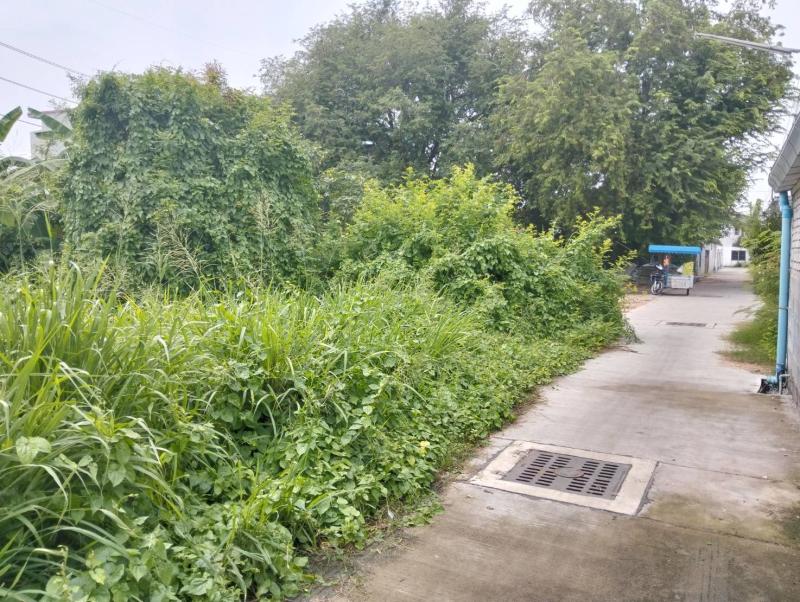 รูปที่4 ต้องการขายที่ดินเปล่า บางพระ ศรีราชา ราคา 3,000,000 บาท