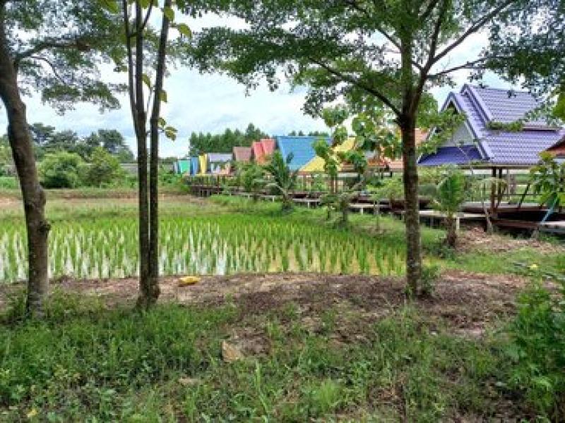 รูปที่8 ต้องการขายบ้านพร้อมที่ดิน หนองเหียง พนัสนิคม ราคา 6,900,000 บาท