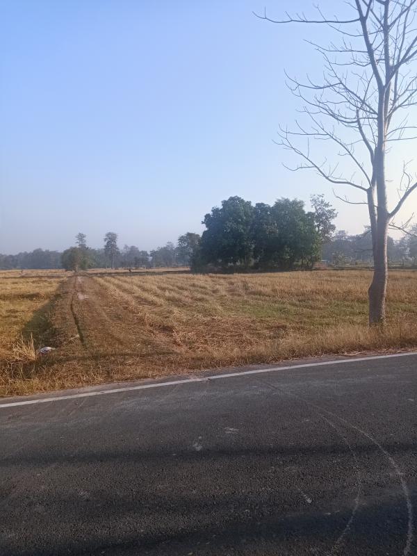 รูปภาพสินทรัพย์