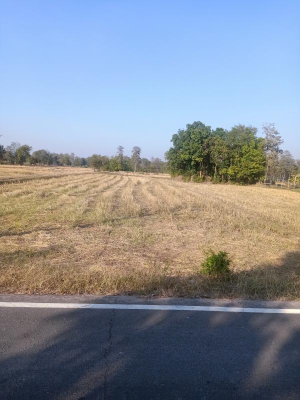 รูปที่2 ต้องการขายที่ดินเปล่า สวาย ปรางค์กู่ ราคา 5,500,000 บาท