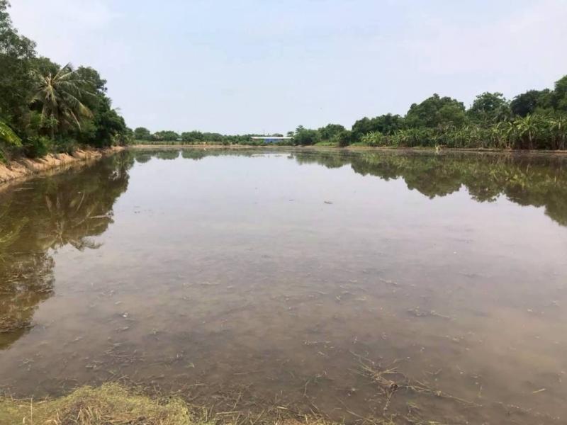 รูปที่7 ต้องการขายที่ดินเปล่า ราษฎร์นิยม ไทรน้อย ราคา 14,400,000 บาท