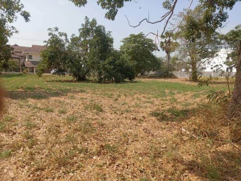 รูปที่2 ต้องการขายที่ดินเปล่า ท้ายเกาะ สามโคก ราคา 7,500,000 บาท